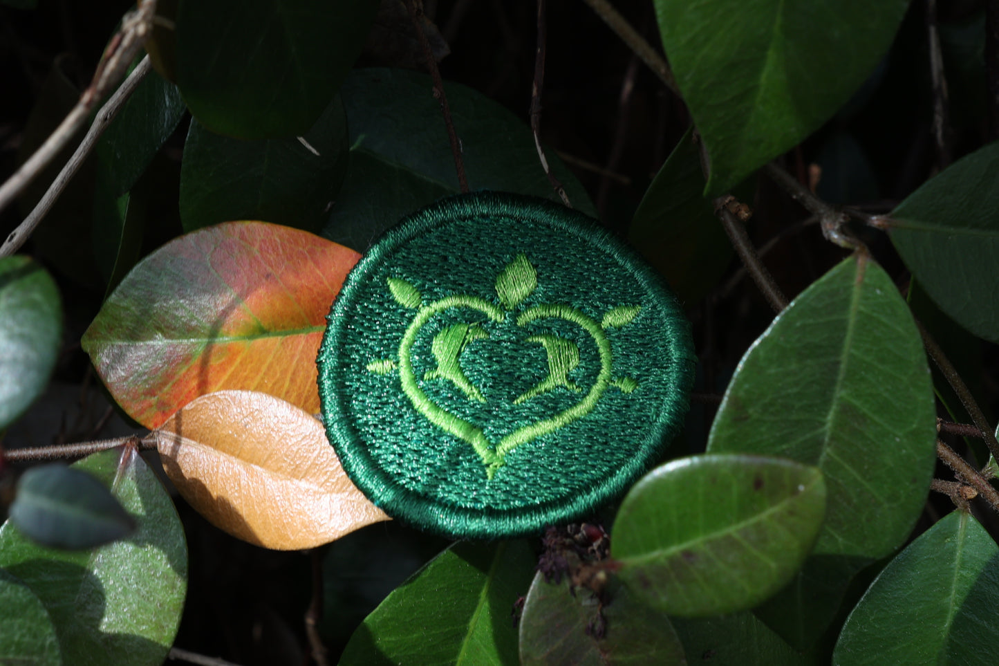 Dendro Iron-On Patch